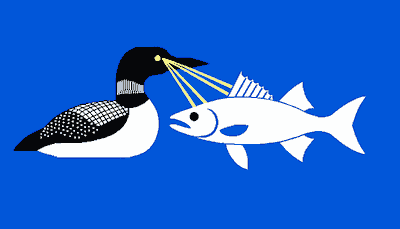 Laser loon flag 2