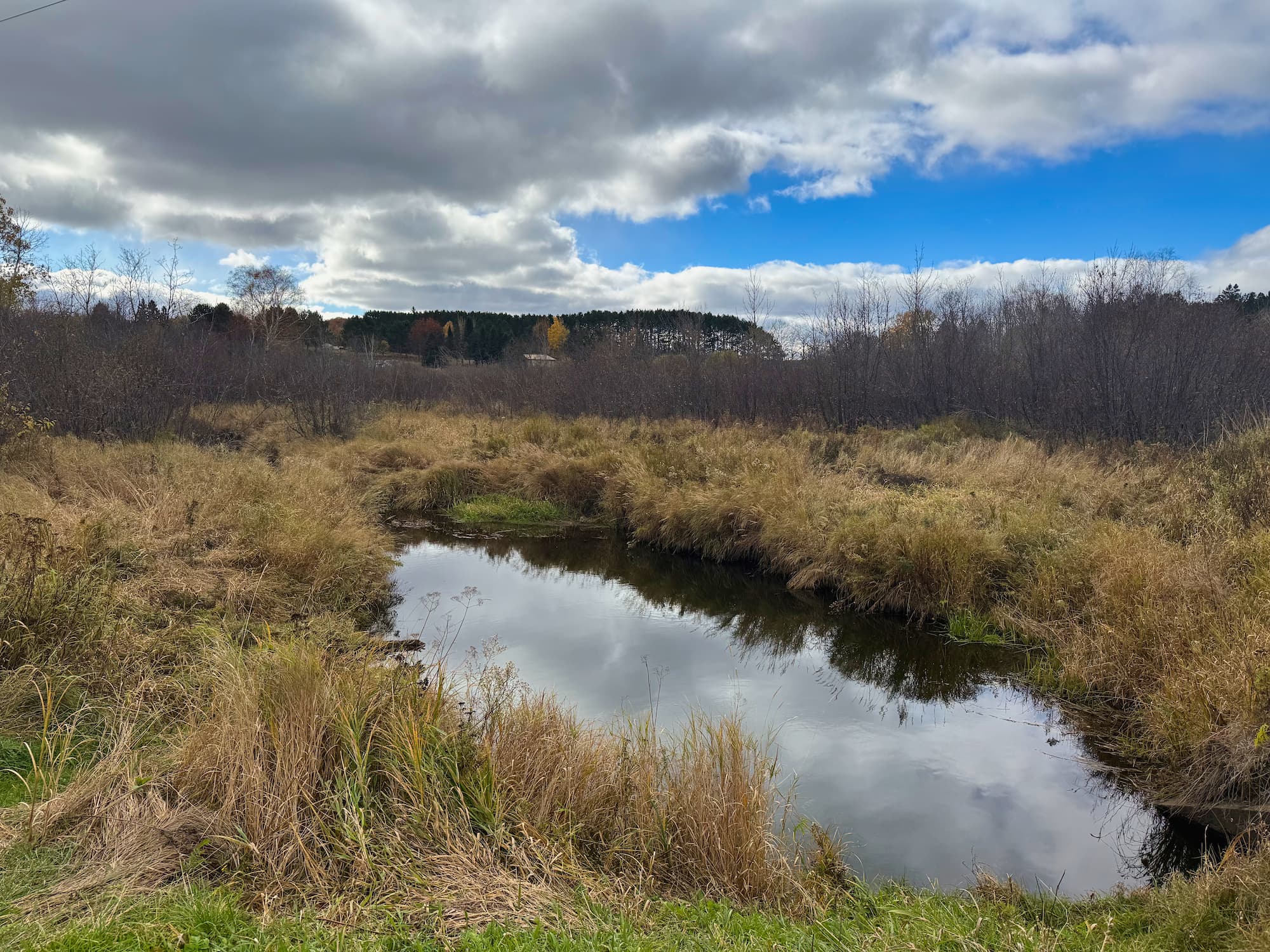 Northern Minnesota wetlands